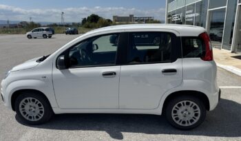 FIAT NEW PANDA Pandina Icon 1.0 MHEV 65HP MY26 full