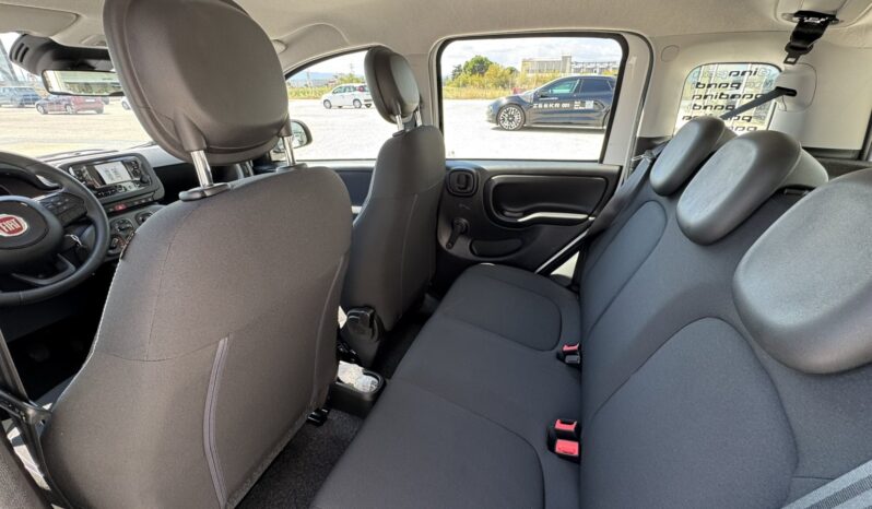 FIAT NEW PANDA Pandina Icon 1.0 MHEV 65HP MY26 full