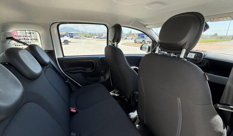 FIAT NEW PANDA Pandina Icon 1.0 MHEV 65HP MY26 full