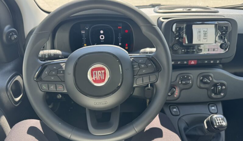 FIAT NEW PANDA Pandina Icon 1.0 MHEV 65HP MY26 full
