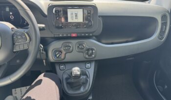 FIAT NEW PANDA Pandina Icon 1.0 MHEV 65HP MY26 full