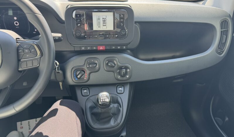 FIAT NEW PANDA Pandina Icon 1.0 MHEV 65HP MY26 full