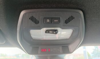 Fiat Grande Panda Icon 1.2 100hp MT6 Petrol full