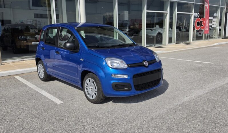 FIAT NEW PANDA Pandina Icon 1.0 MHEV 65HP MY26 full