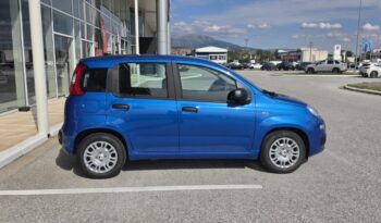 FIAT NEW PANDA Pandina Icon 1.0 MHEV 65HP MY26 full