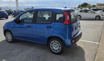 FIAT NEW PANDA Pandina Icon 1.0 MHEV 65HP MY26 full