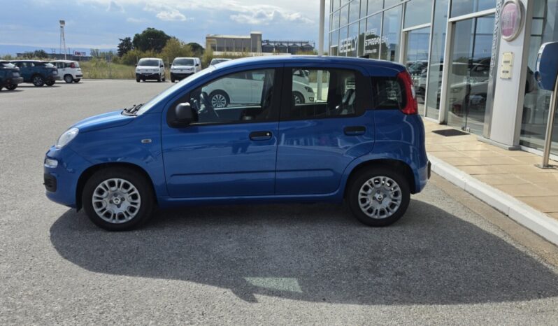 FIAT NEW PANDA Pandina Icon 1.0 MHEV 65HP MY26 full
