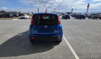 FIAT NEW PANDA Pandina Icon 1.0 MHEV 65HP MY26 full