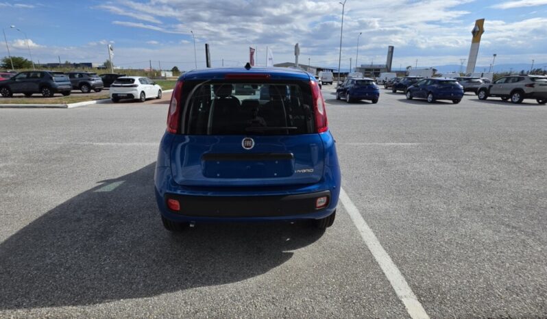 FIAT NEW PANDA Pandina Icon 1.0 MHEV 65HP MY26 full