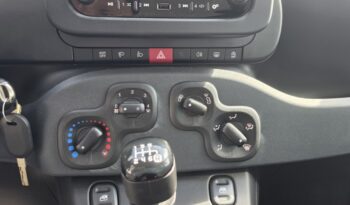 FIAT NEW PANDA Pandina Icon 1.0 MHEV 65HP MY26 full