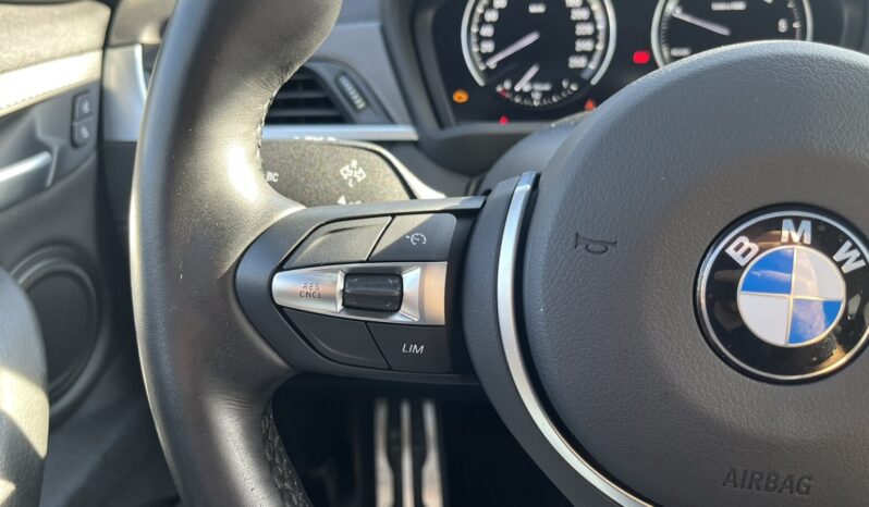 BMW X2 sDrive 16d M Sport X (Φ) ΕΛΛΗΝΙΚΗΣ ΑΝΤΙΠΡΟΣΩΠΕΙΑΣ full